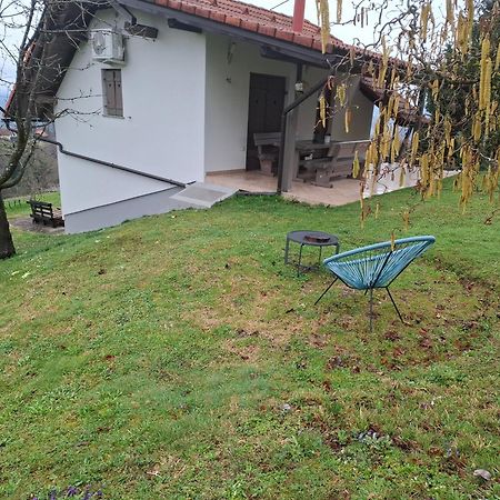 Vineyard Cottage Klemencic Novo Mesto Luaran gambar