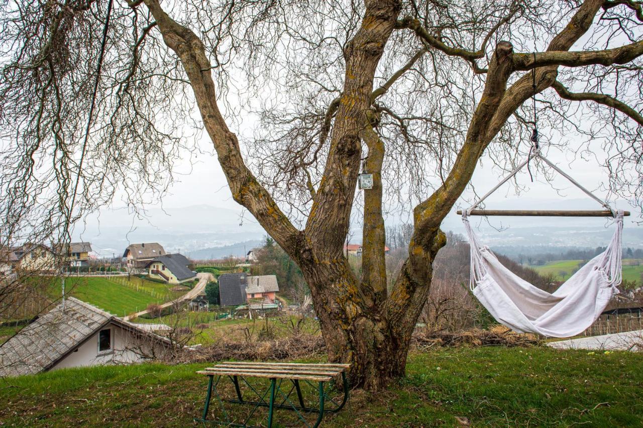 Vineyard Cottage Klemencic Novo Mesto Luaran gambar