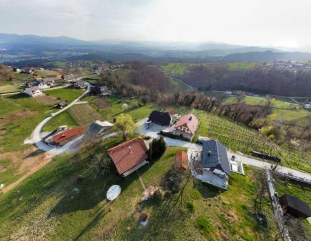 Vineyard Cottage Klemencic Novo Mesto Luaran gambar