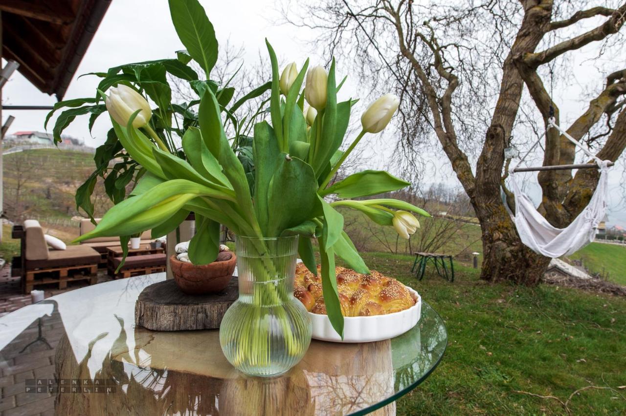 Vineyard Cottage Klemencic Novo Mesto Luaran gambar