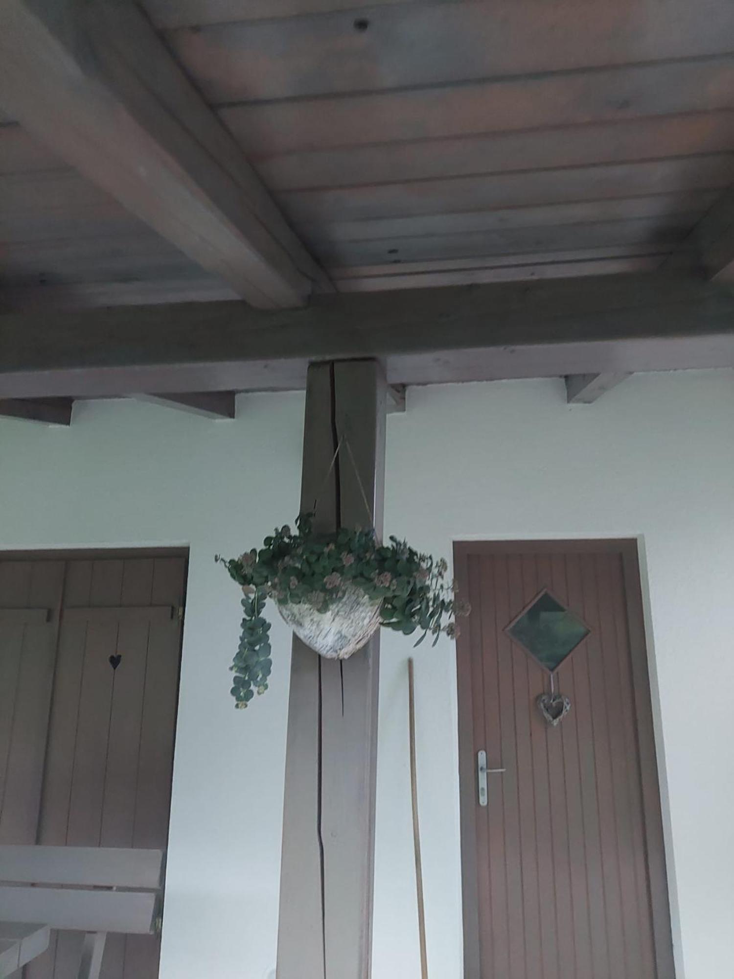 Vineyard Cottage Klemencic Novo Mesto Luaran gambar