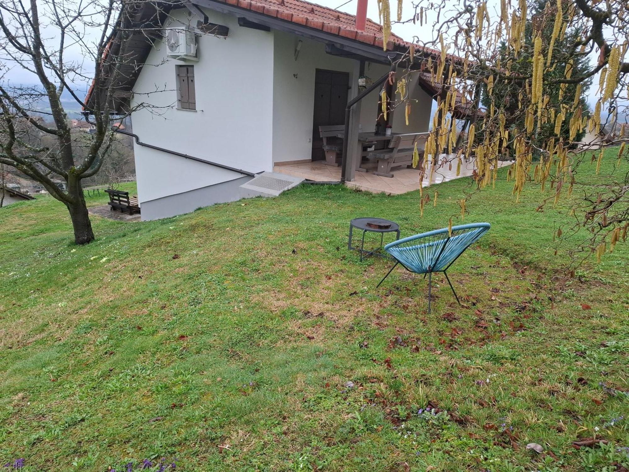 Vineyard Cottage Klemencic Novo Mesto Luaran gambar