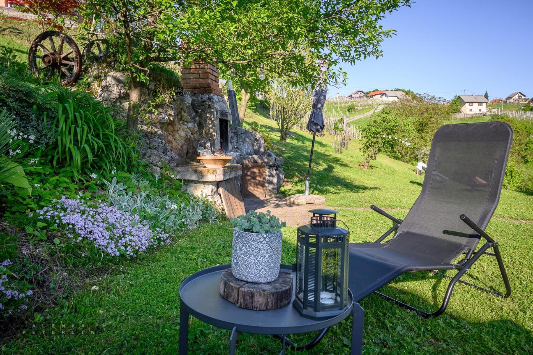 Vineyard Cottage Klemencic Novo Mesto Luaran gambar