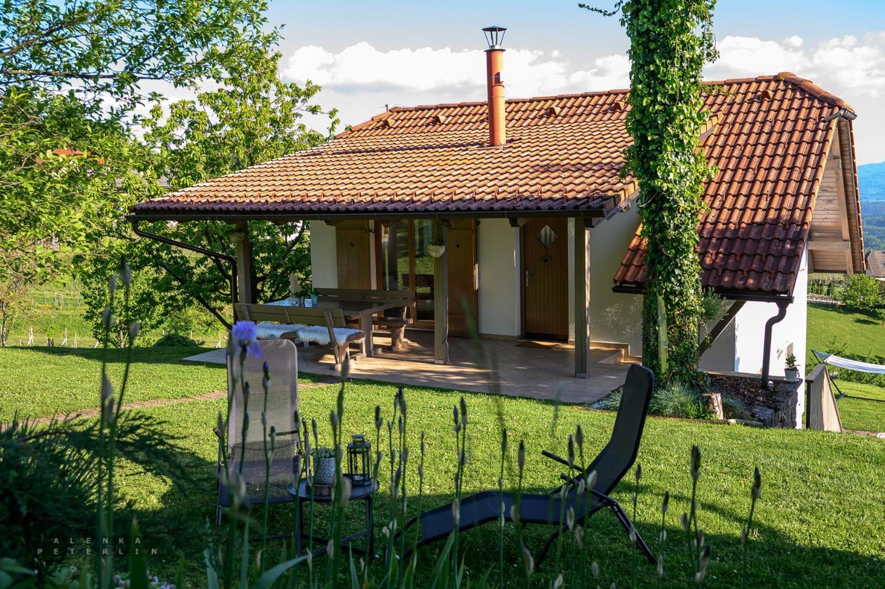 Vineyard Cottage Klemencic Novo Mesto Luaran gambar