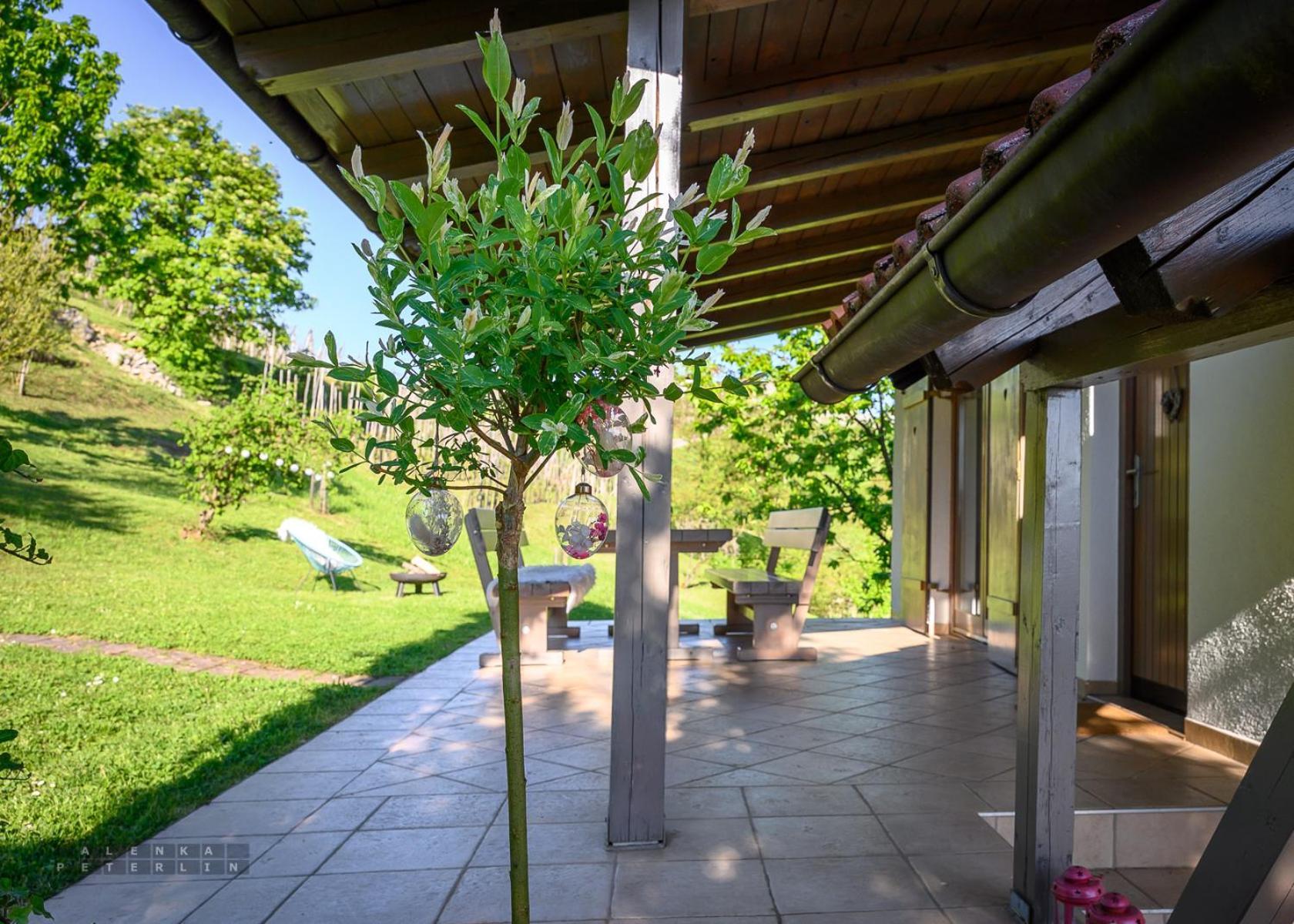 Vineyard Cottage Klemencic Novo Mesto Luaran gambar